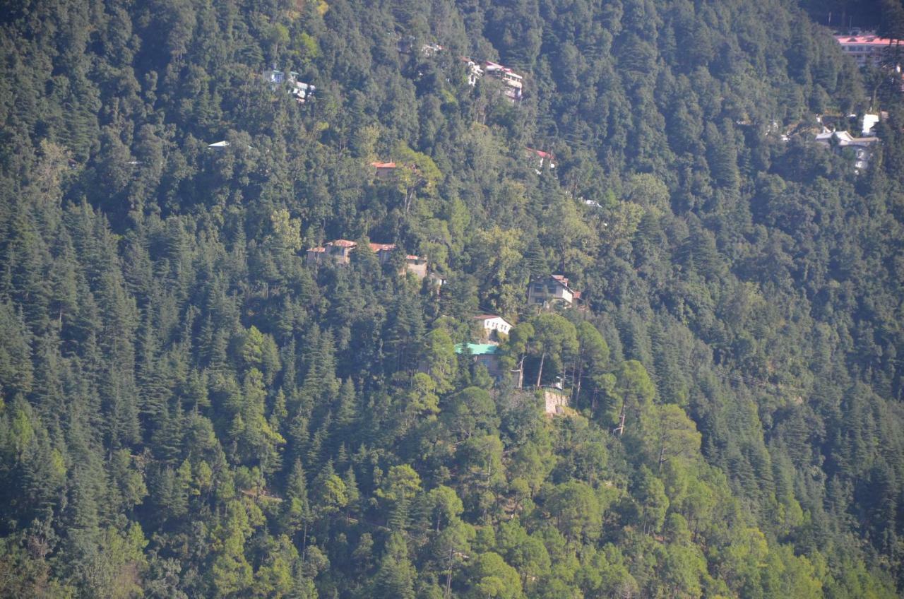 Peaceful Retreat Home Stay, Dalhousie Eksteriør bilde